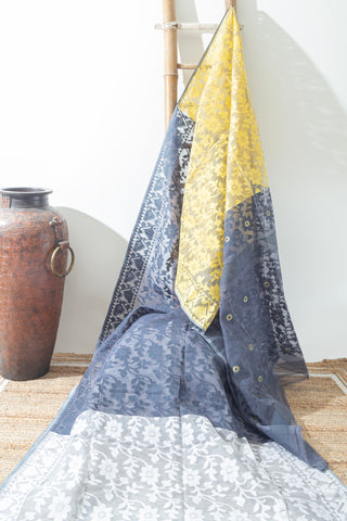 BLACK & BLUE BORDER LINEN SAREE